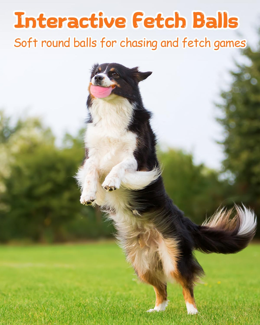 KrauzPet lightweight indoor-outdoor play toy in action for easy tossing.