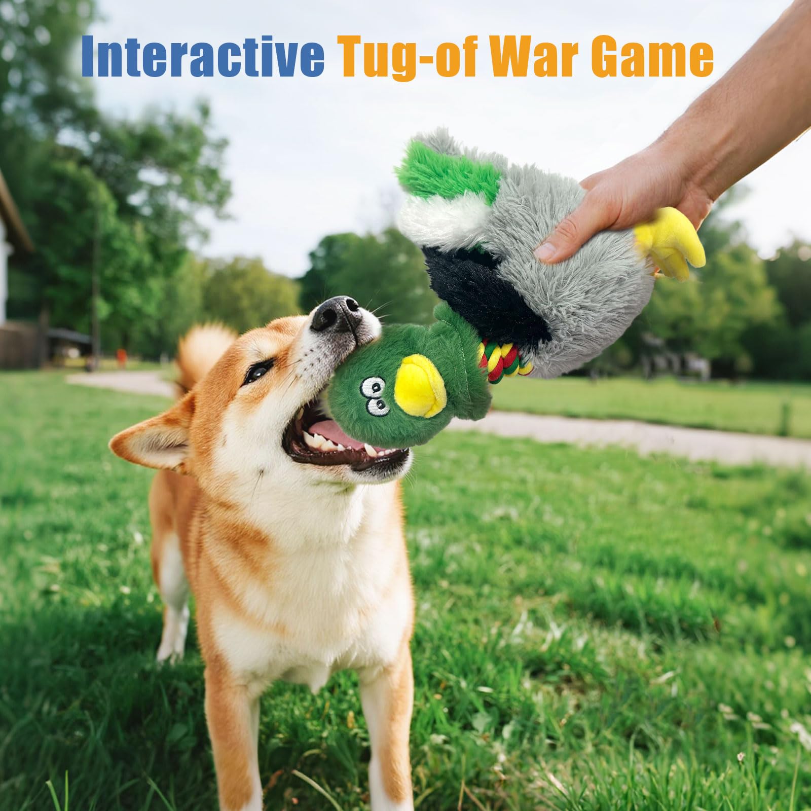 KrauzPet interactive-dog-toy invites busy dogs to play and burn energy.