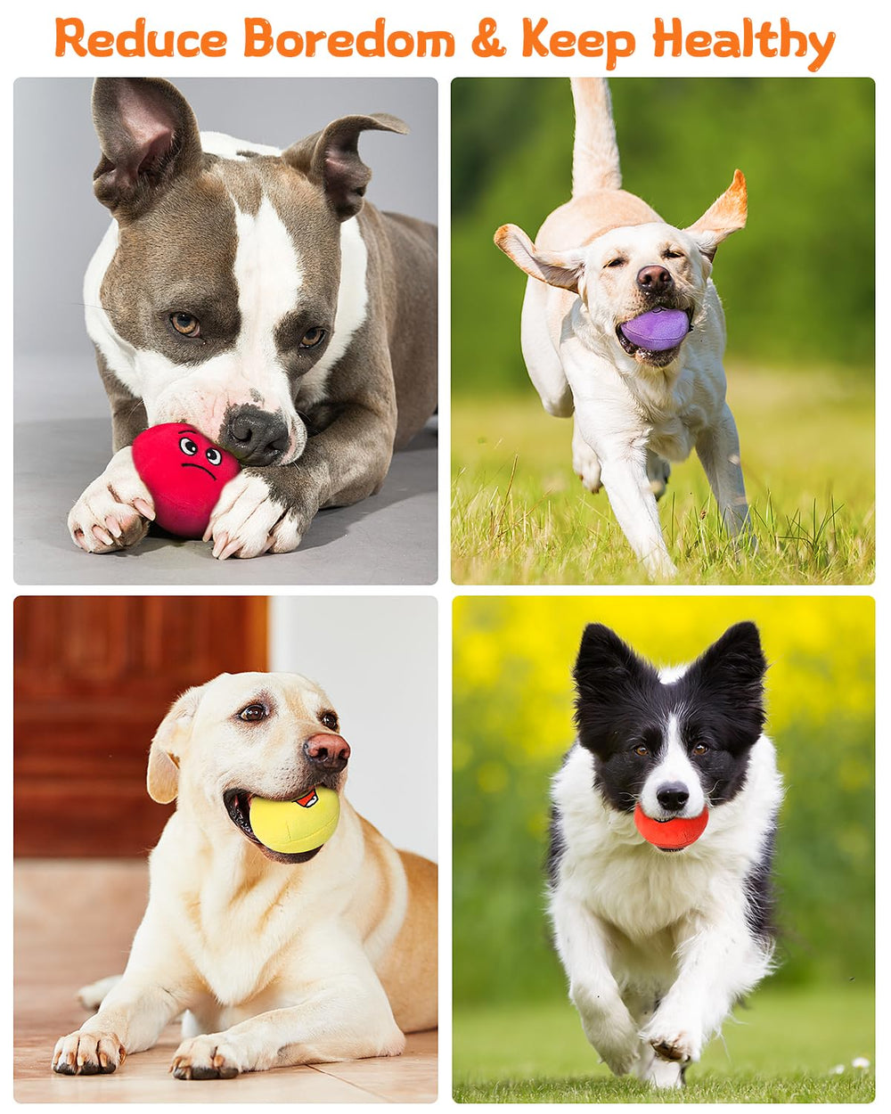 KrauzPet squeaky toy pack display with multiple expressions to keep dogs engaged.
