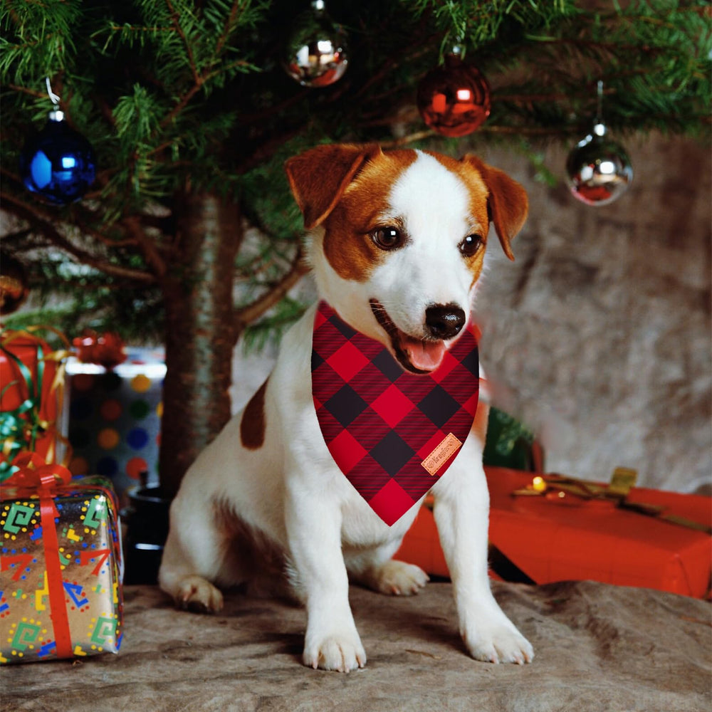 Kreyfer bandana with easy-to-tie design for quick dressing