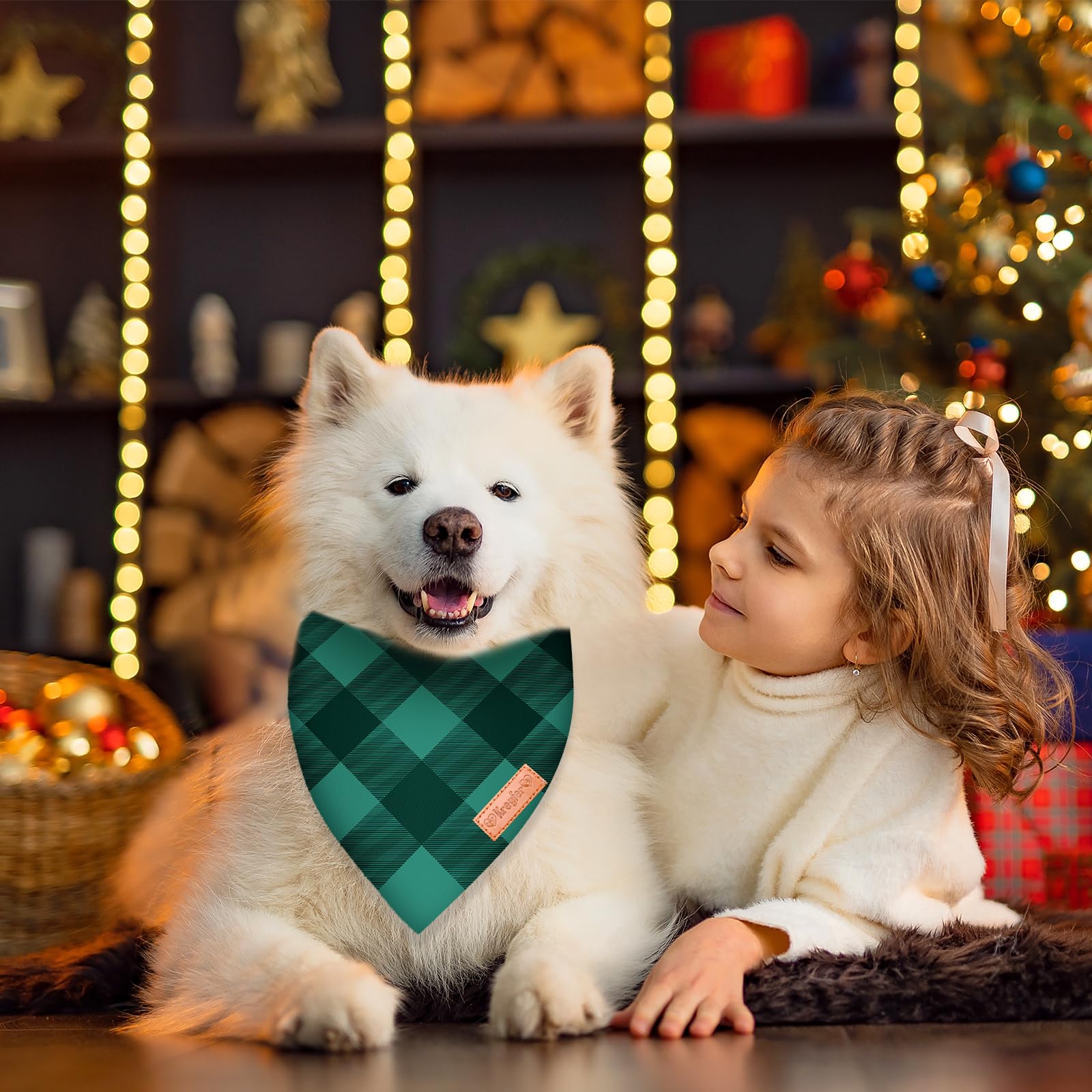 Kreyfer Christmas Bandana ready for a holiday photoshoot