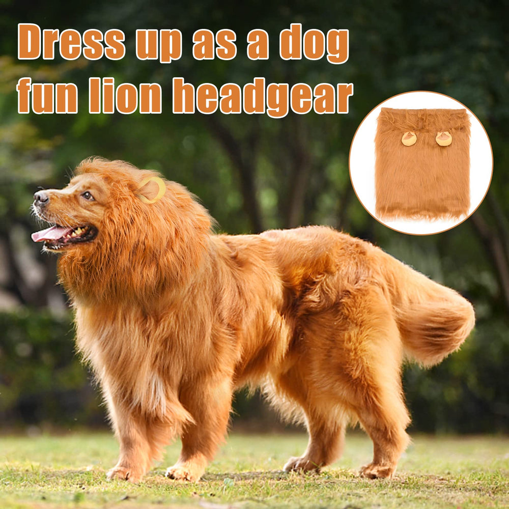 Kreyfer dog lion mane costume back view shows neat fit and mobility.