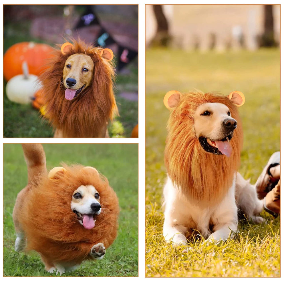 Kreyfer dog lion mane costume packaging shot highlights sturdy design for gifting.