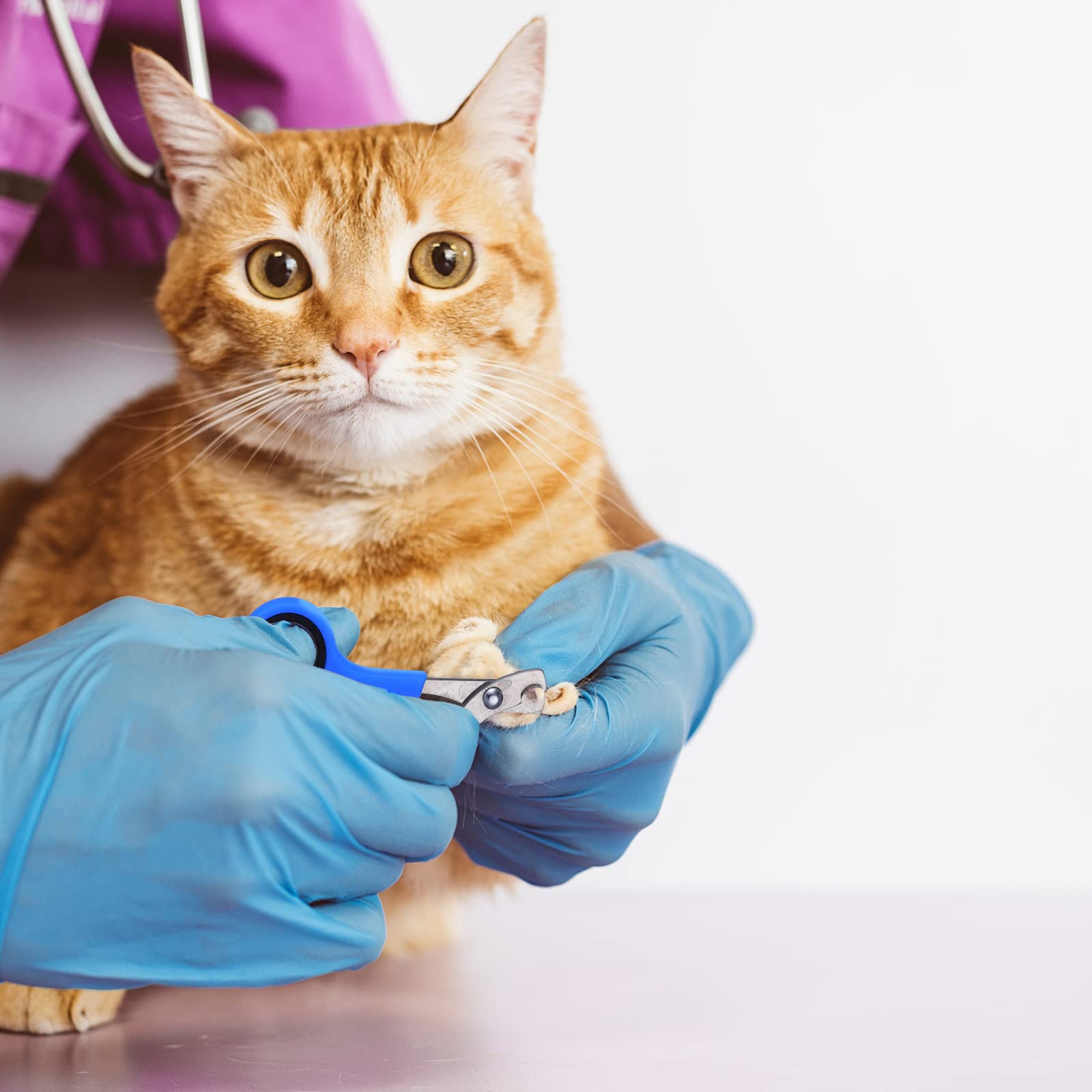 Kritkin cat muzzle supports calm handling during baths and trims.