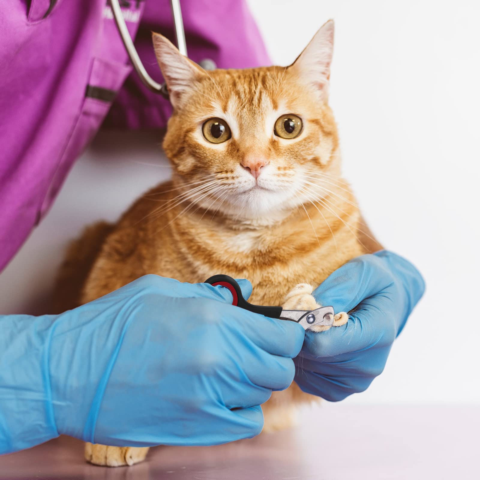 Kritkin cat muzzle aids safe handling during grooming