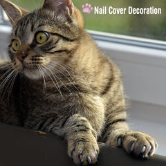 Kritkin cat nail file smooths nails safely for comfortable grooming