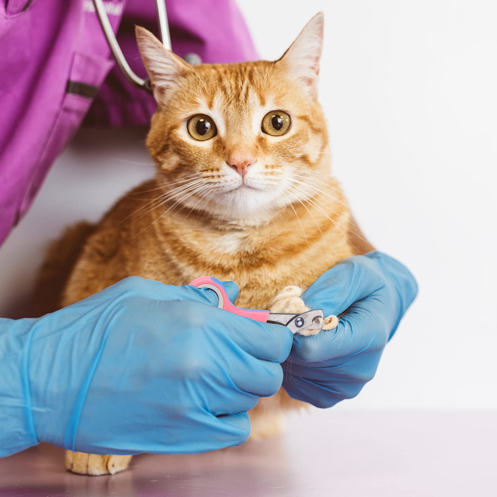 Kritkin tick removal tools image illustrating versatile tools for gentle inspections.