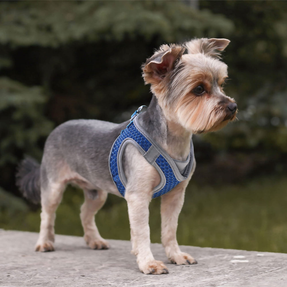 KRUZ PET Athletica harness adjustable Velcro straps for custom fit.