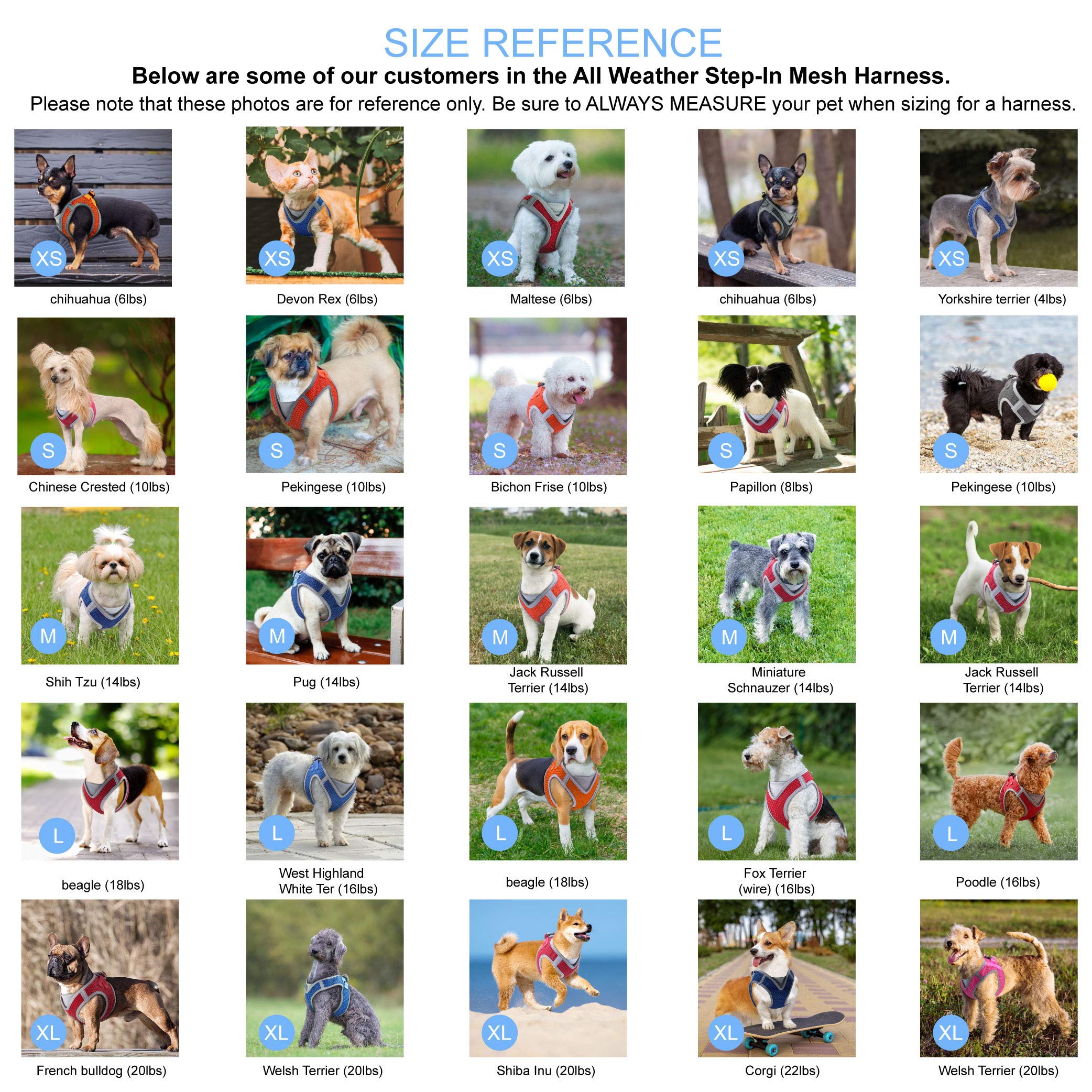 KRUZ PET Athletica no-choke chest pad reduces neck pressure during walks