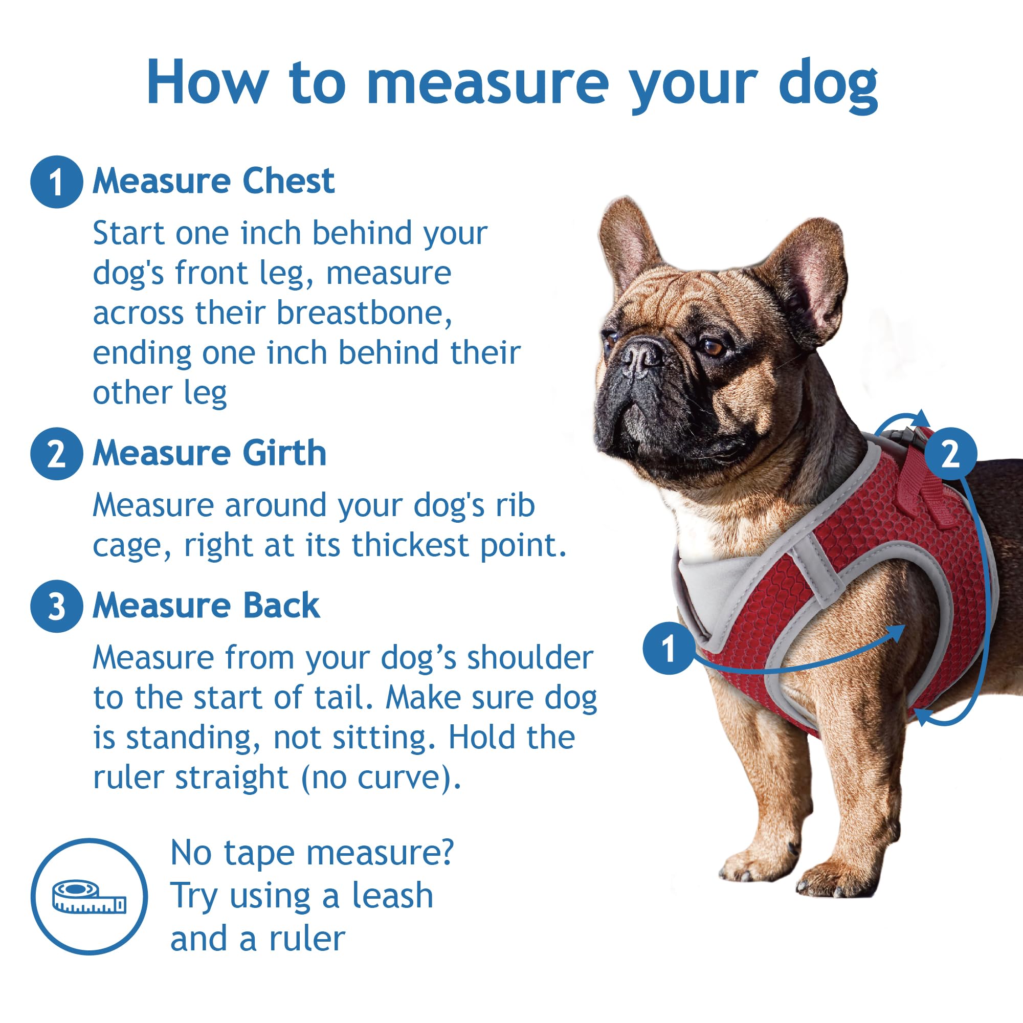 KRUZ PET Athletica reflective piping boosts night-time visibility during walks