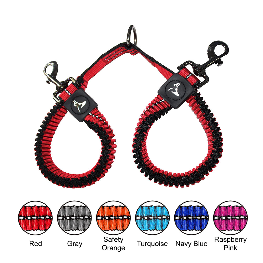 KRUZ Pet city walk leash designed for busy sidewalks and parks