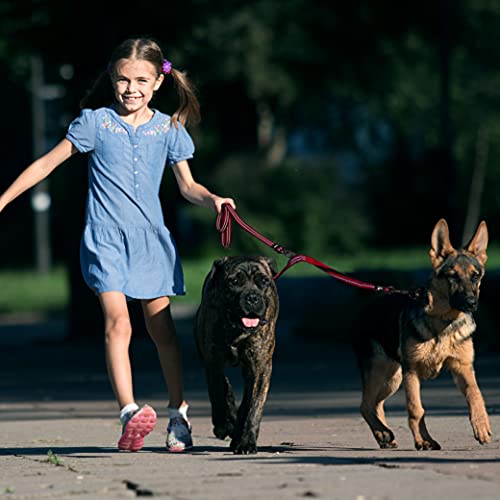 KRUZ Pet two dogs walking together for coordinated excursions