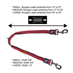 KRUZ Pet two-handles design offers extra control during training sessions