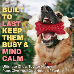 Kseroo nylon chew toy for aggressive chewers boosts durability for large breeds.