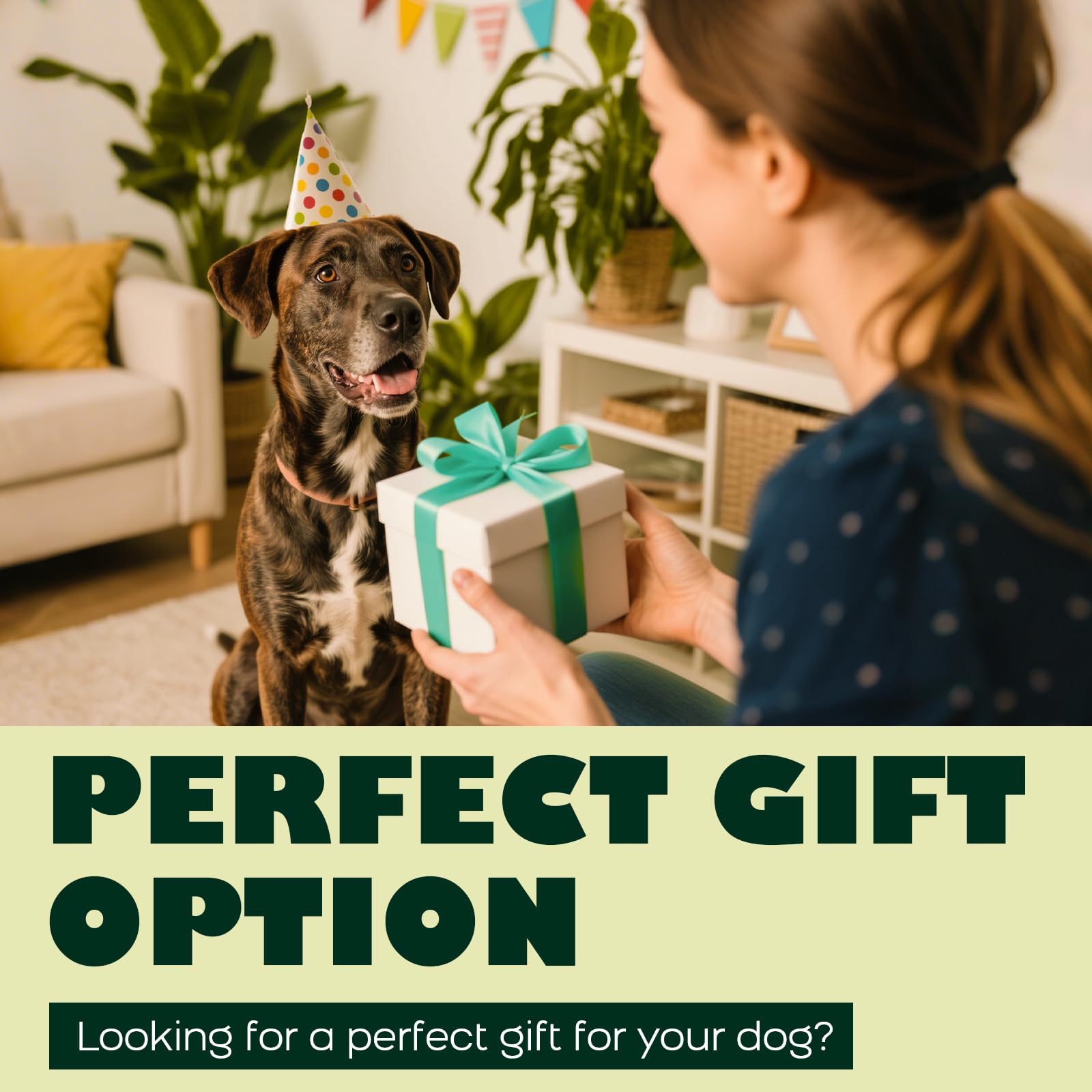 Kseroo dog toy makes a perfect gift for dogs.