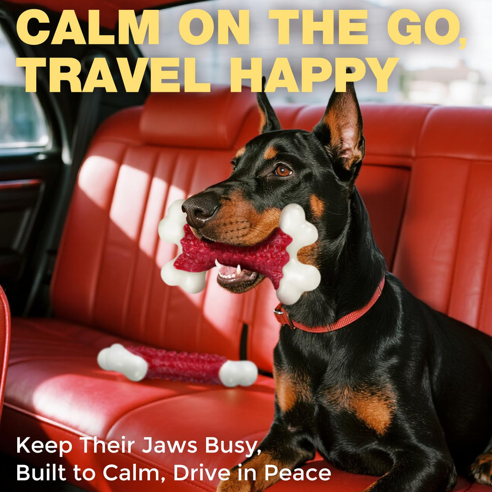 Kseroo energy-release toy helps channel high-energy play in minutes.