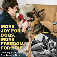 Kseroo interactive dog toy for large dogs supports engaging outdoor training.