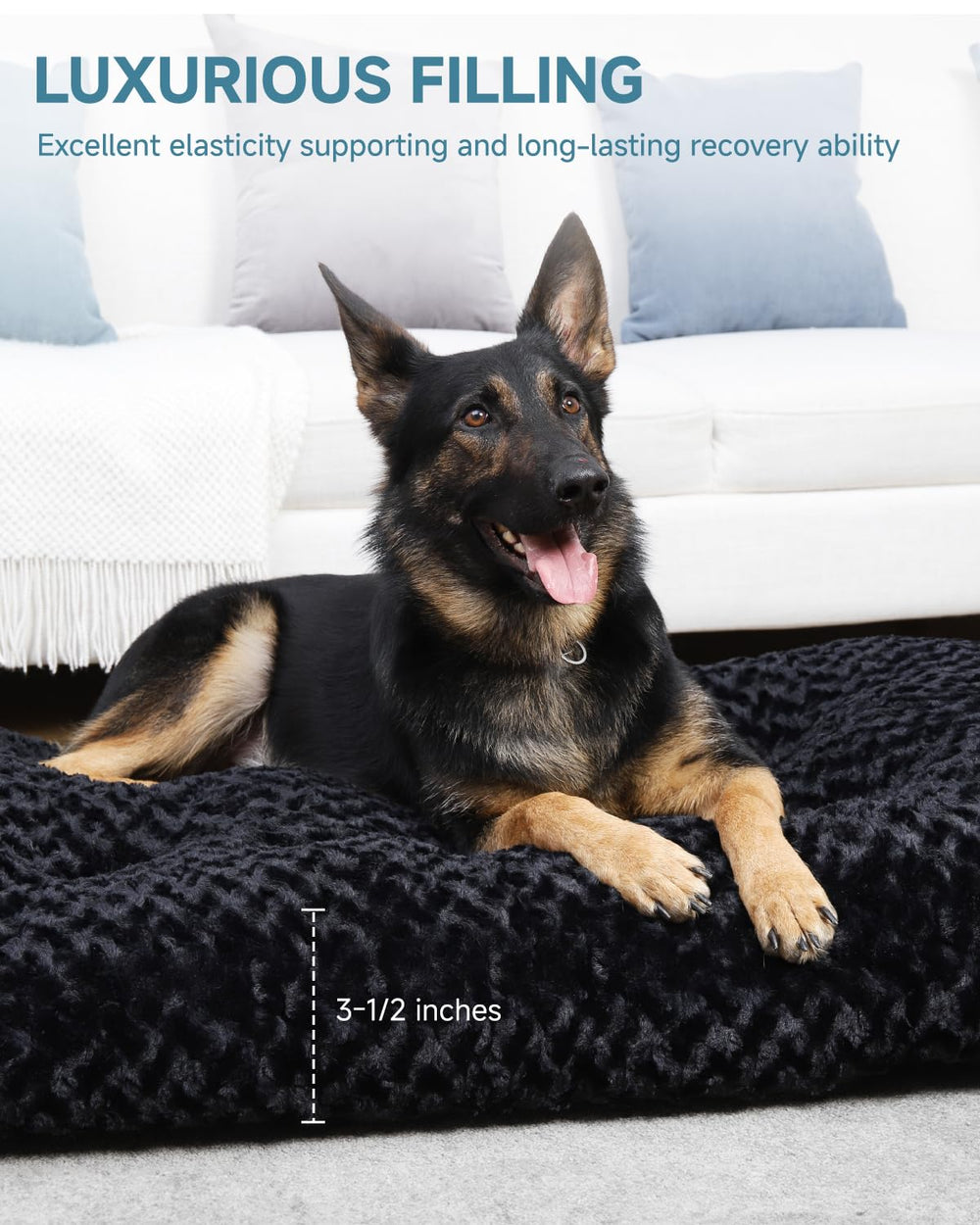 KSIIIA 35x23 crate bed demonstrates ample space for large dogs.