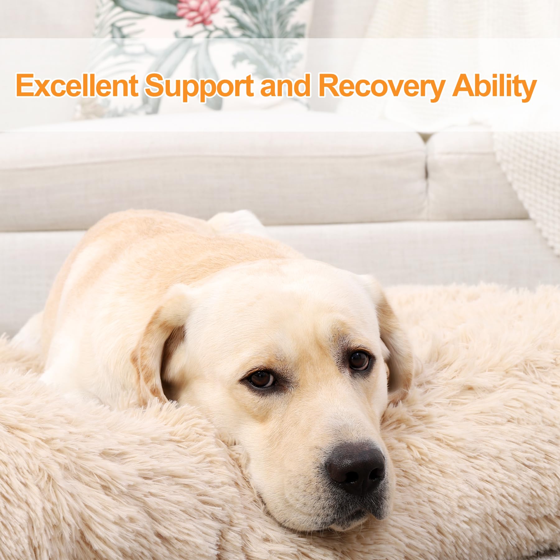 KSIIA anti-slip bottom keeps the bed secure during pawing and lounging.