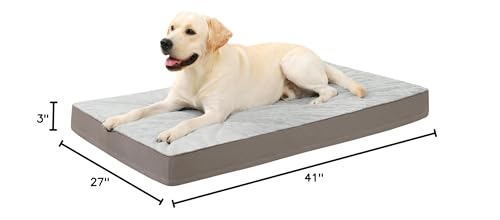 KSIIA-dog-sleep-home-comfort-visual highlights cozy nights and calm rest.