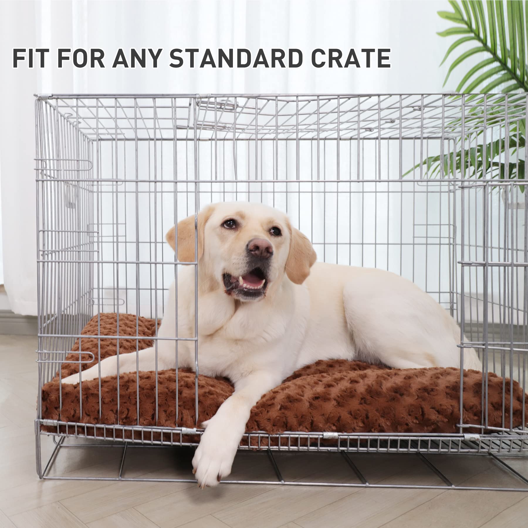 KSIIA bed anti-slip bottom image demonstrates secure placement.