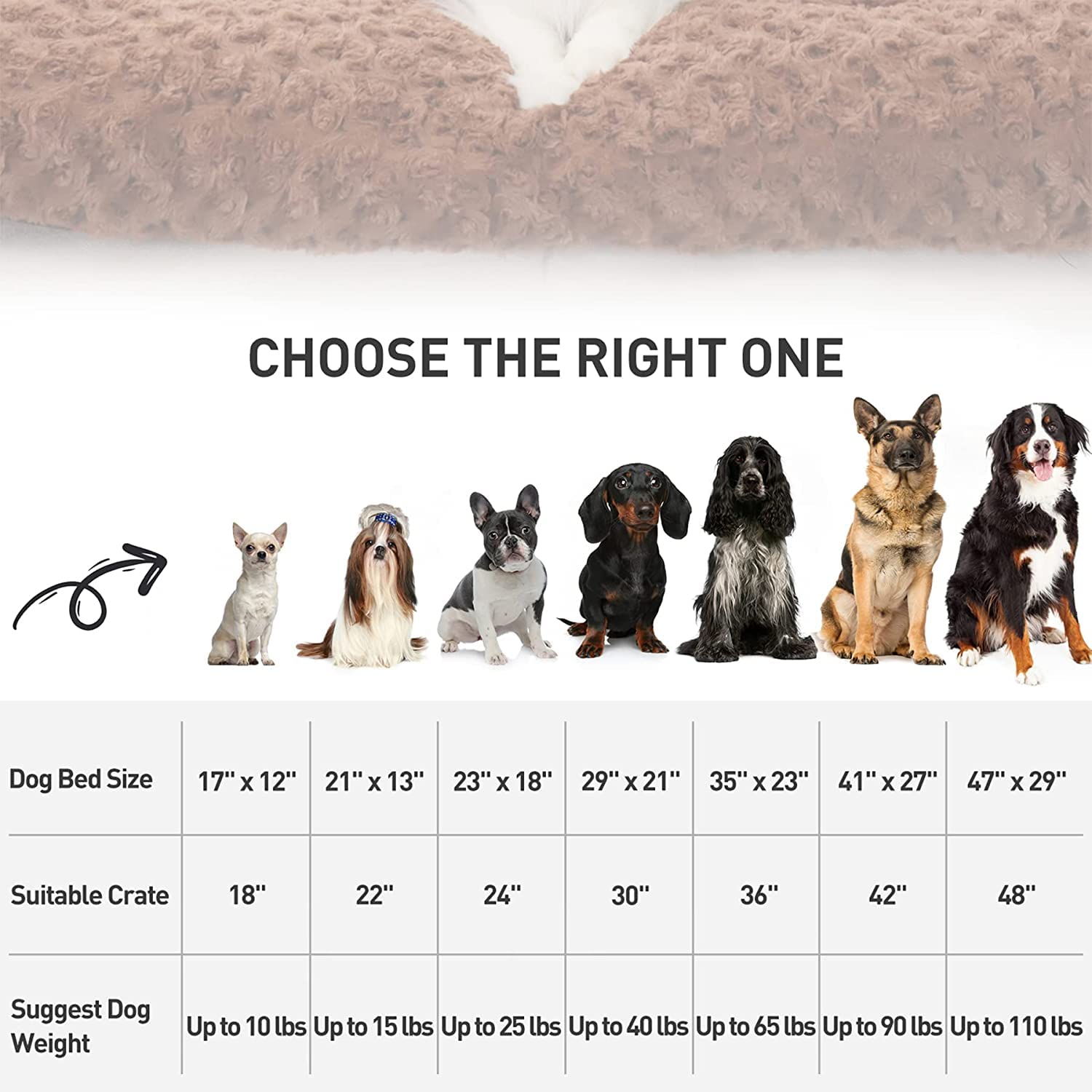 KSIIA 35x23 dimension image confirms correct sizing for multiple breeds.
