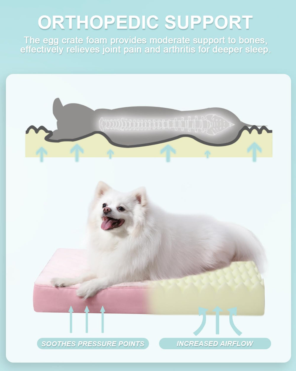 KSIIA dog bed waterproof layer guards foam from spills and accidents.