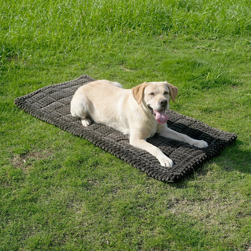 Ksiliup dog bed doubles as sofa protector for living rooms and bedrooms