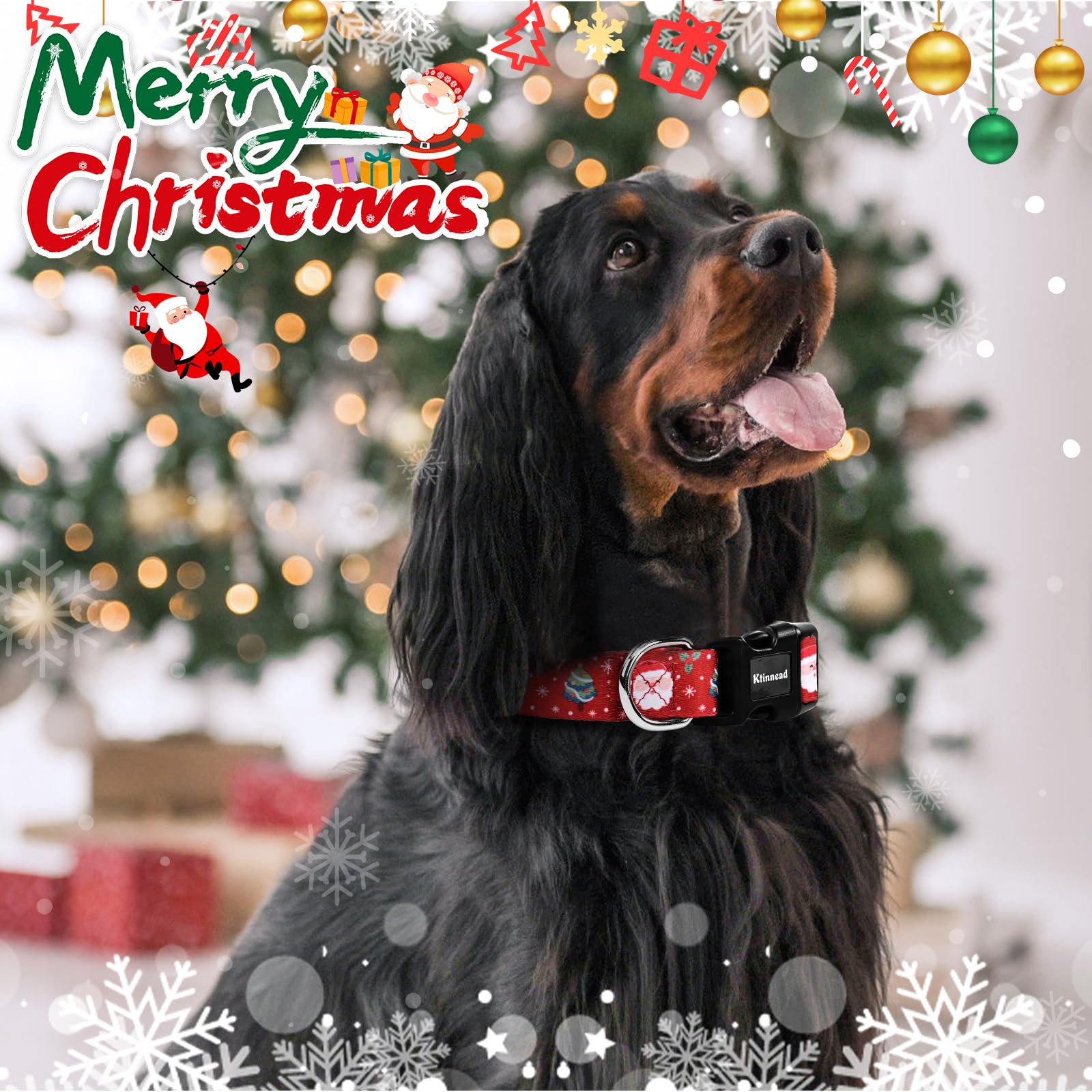 Ktinnead cotton blend collar offers soft comfort and durability for daily wear.