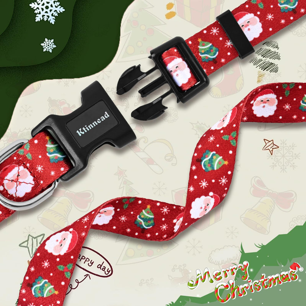 Ktinnead Christmas dog collar used as a festive prop for holiday photos