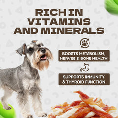 KUADELRO Twist-shape dog jerky close-up for dental health