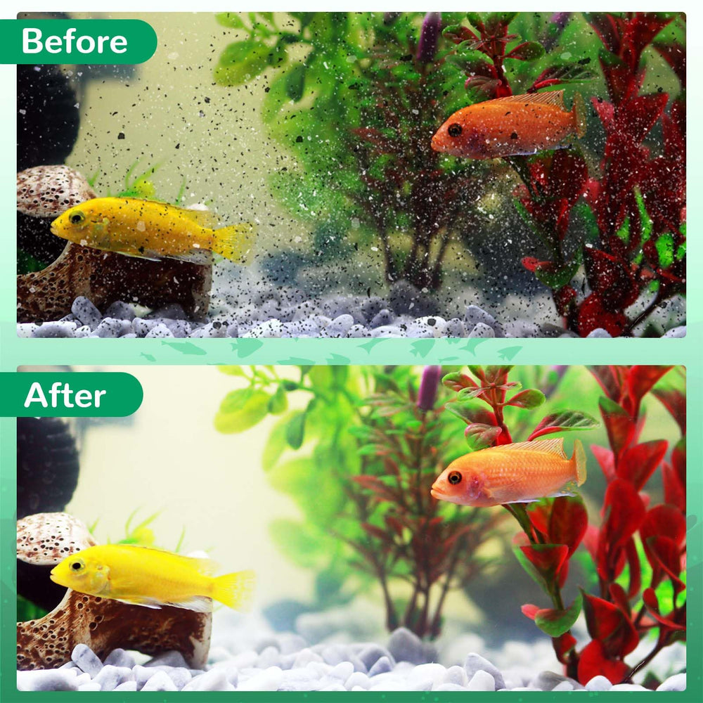 Kucbraly activated carbon filter media enhances odor and discoloration removal