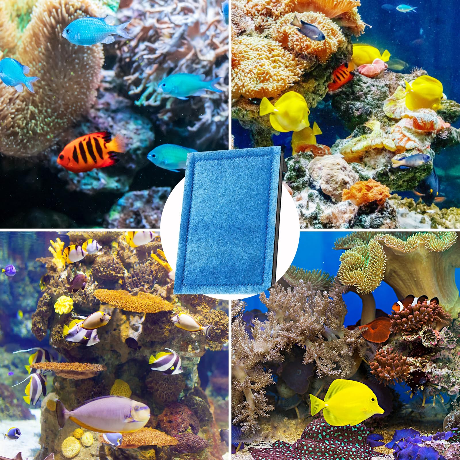 Kucbraly Marineland Penguin Pro compatibility cartridge fits flexible filtration setups.