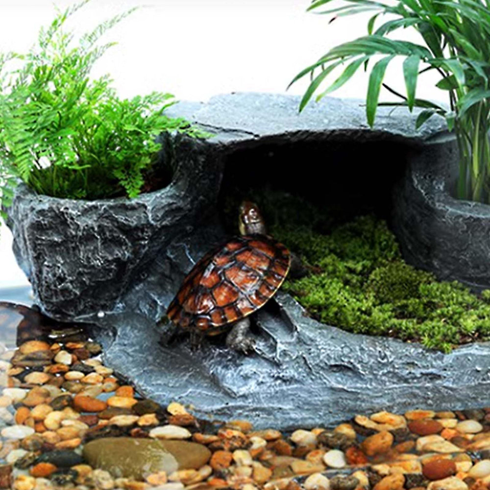 Kucbraly quiet-filter operation supports a peaceful aquarium environment