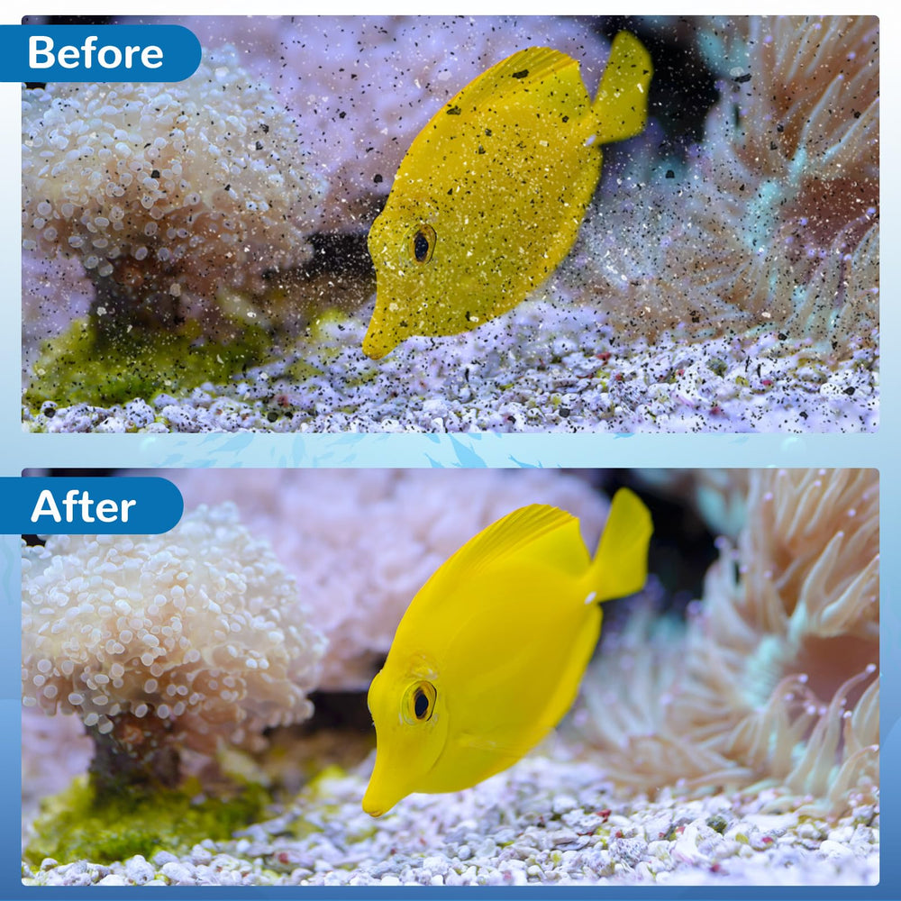 Kucbraly quiet filtration and easy installation when replacing the cartridge