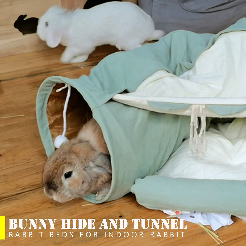 KUCDBUN cat-tunnel-bed-assembly-scene shows versatile indoor play space for pets.