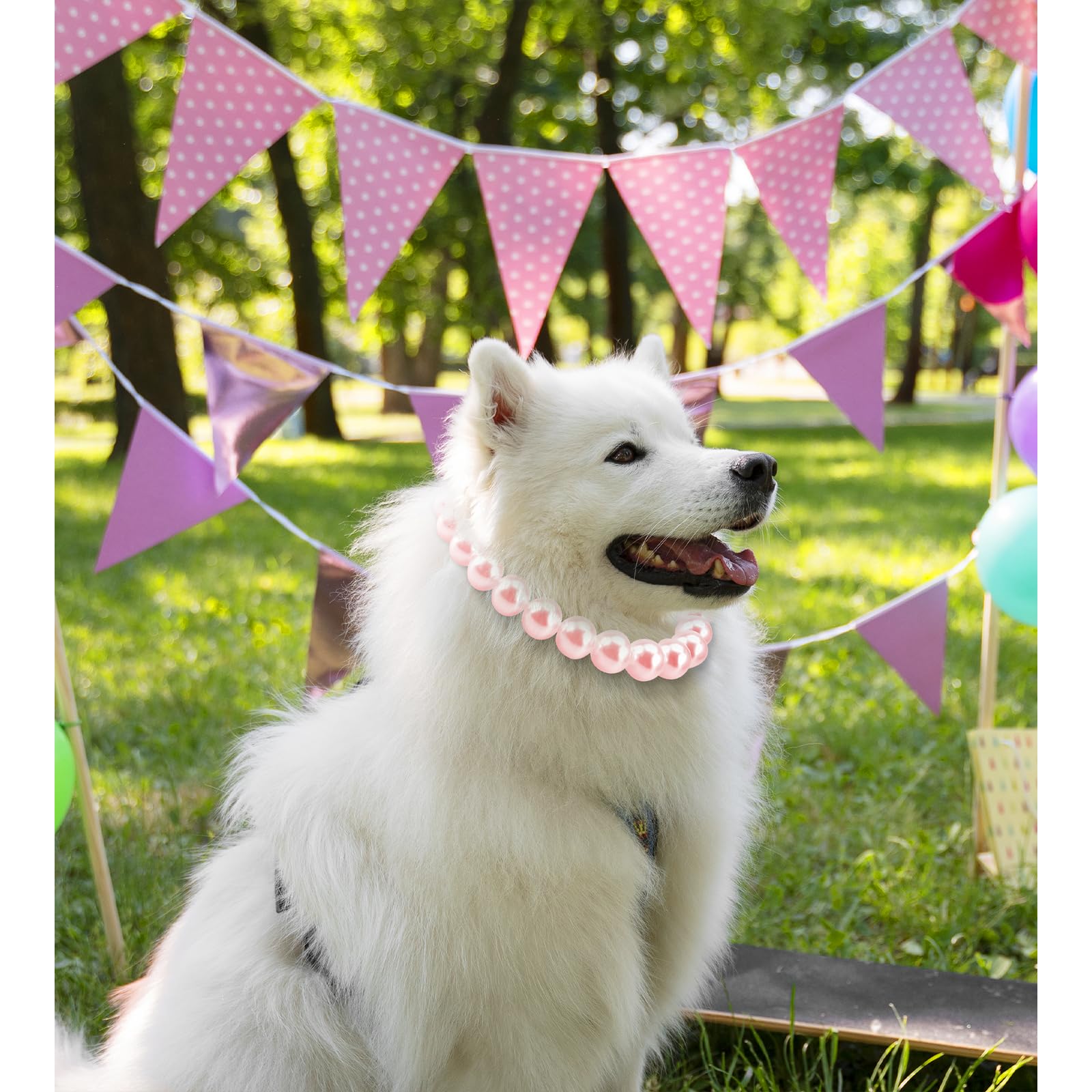 KUDES chunky pearl dog necklace pink beads worn on dog for standout party-ready look.