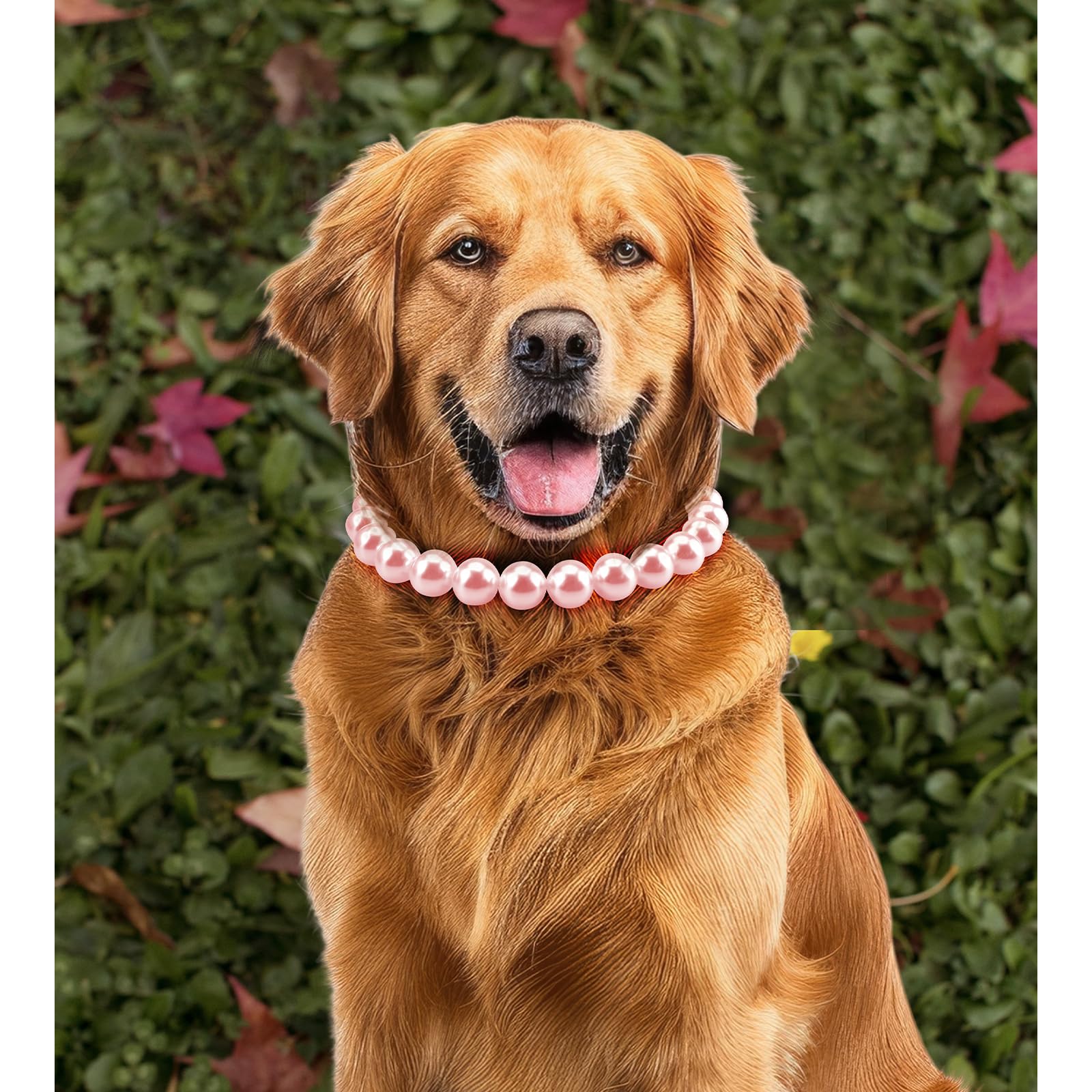 KUDES chunky pearl dog necklace pink display packaging demonstrates premium pet jewelry gifting.