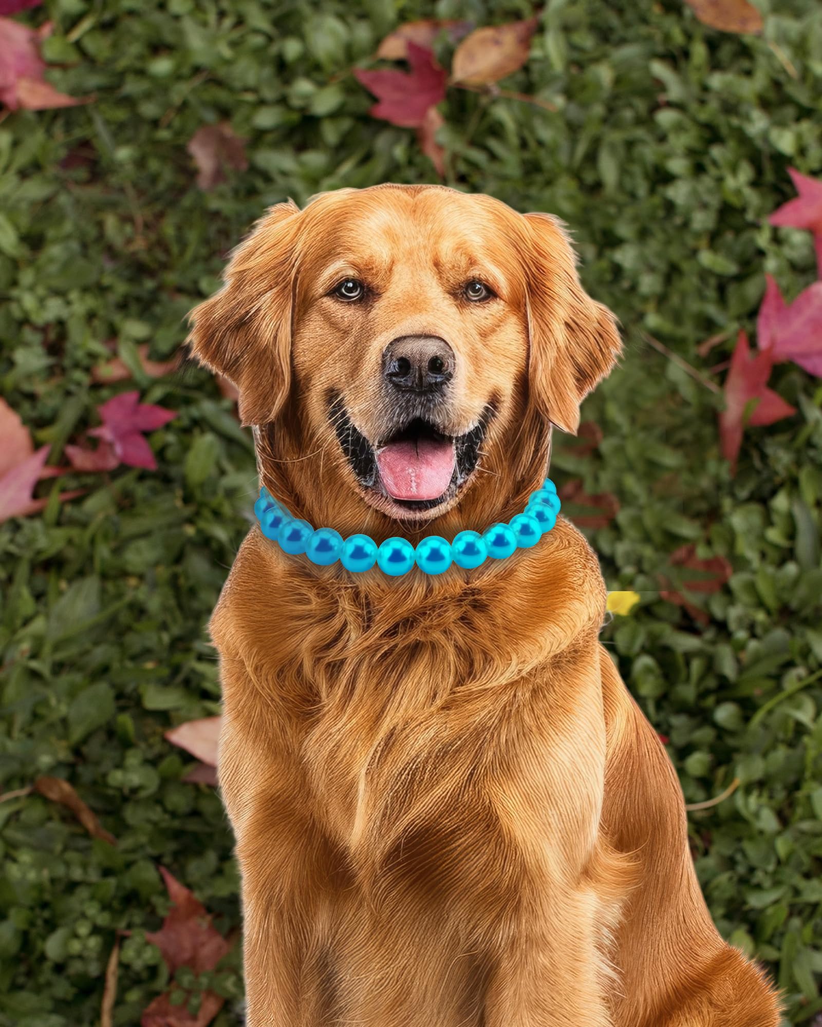 KUDES Chunky Pearl Dog Necklace turquoise packaged with care for gifting.