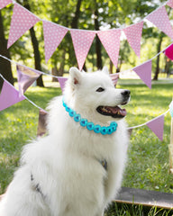 KUDES Chunky Pearl Dog Necklace with stainless steel clasp stays secure during walks and events.