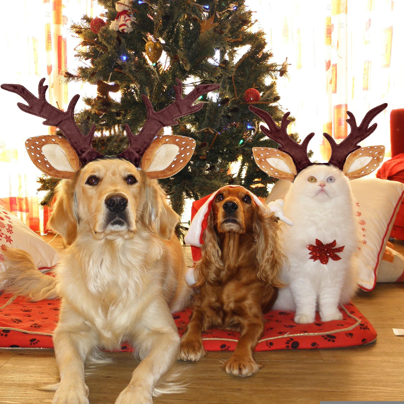 KUDES three-size adjustable headband, fits small to medium pets with elastic and buckle.