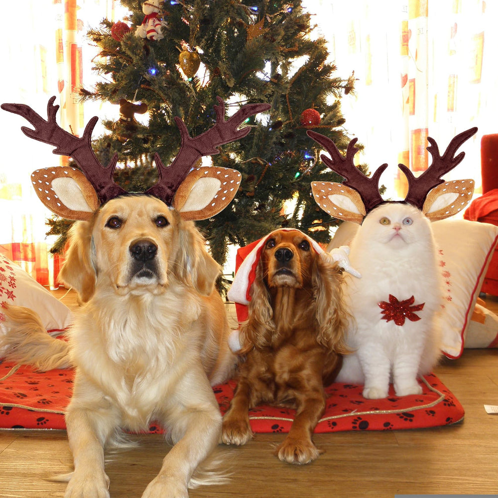 KUDES three-size adjustable headband, fits small to medium pets with elastic and buckle.