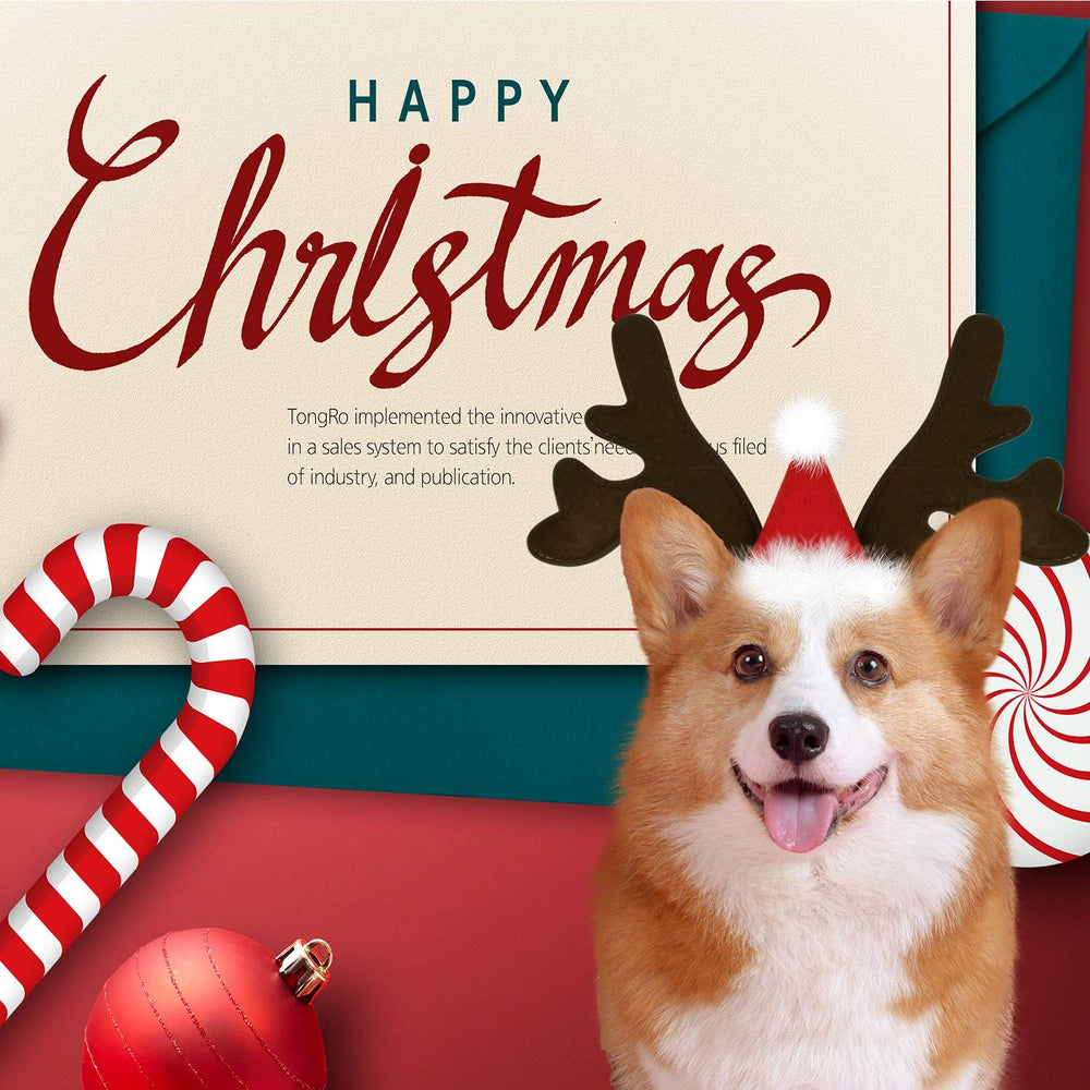KUDES dog Christmas headband party ready for photos