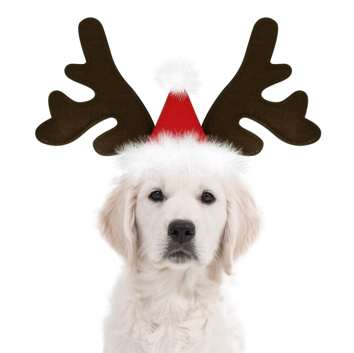 KUDES dog Christmas reindeer antlers headband front view for festive look
