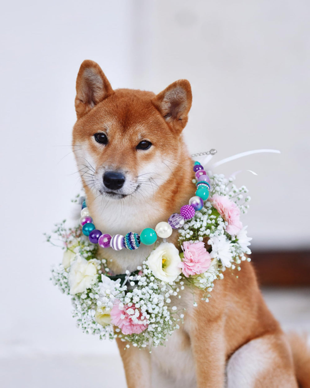 KUDES dog necklace features rhinestone spacers and pearls for Instagram-worthy shines.