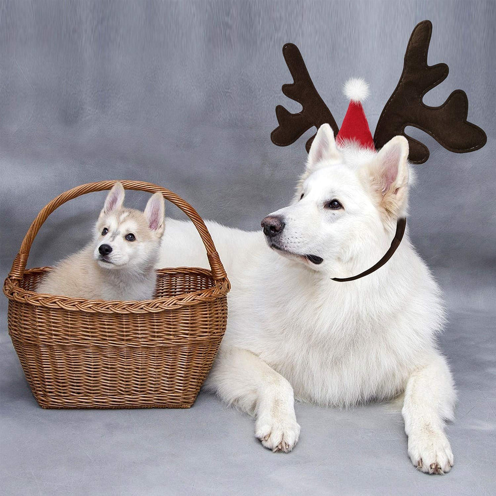 KUDES reindeer antlers headband on dog shows comfortable fit