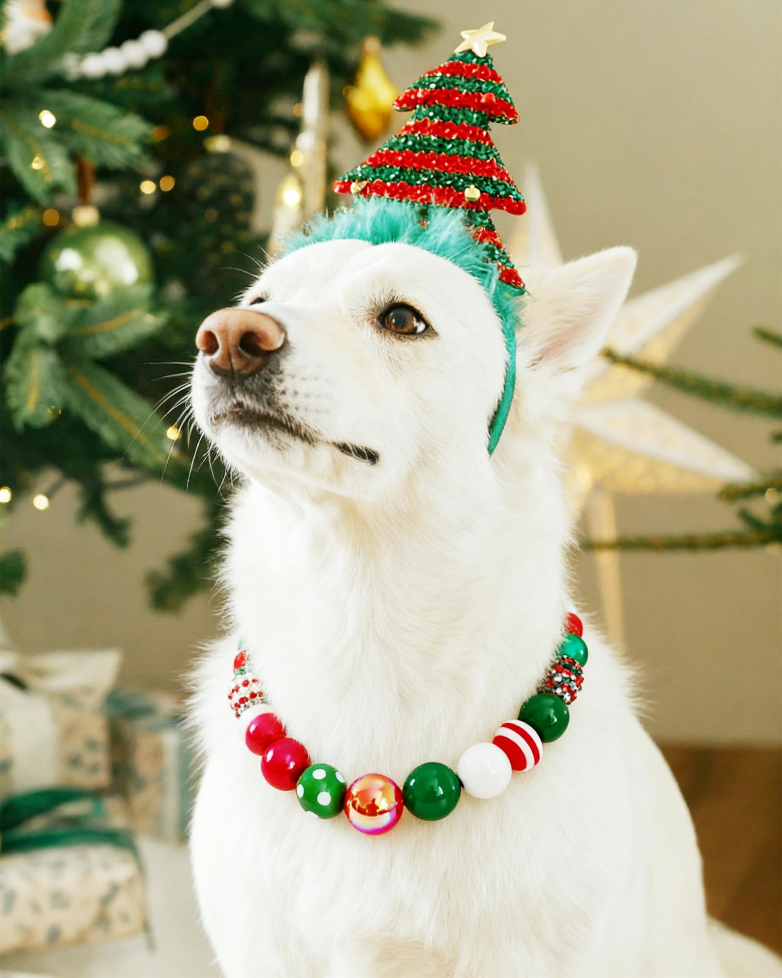 KUDES holiday photos and parties-ready accessory that pairs well with matching human jewelry.
