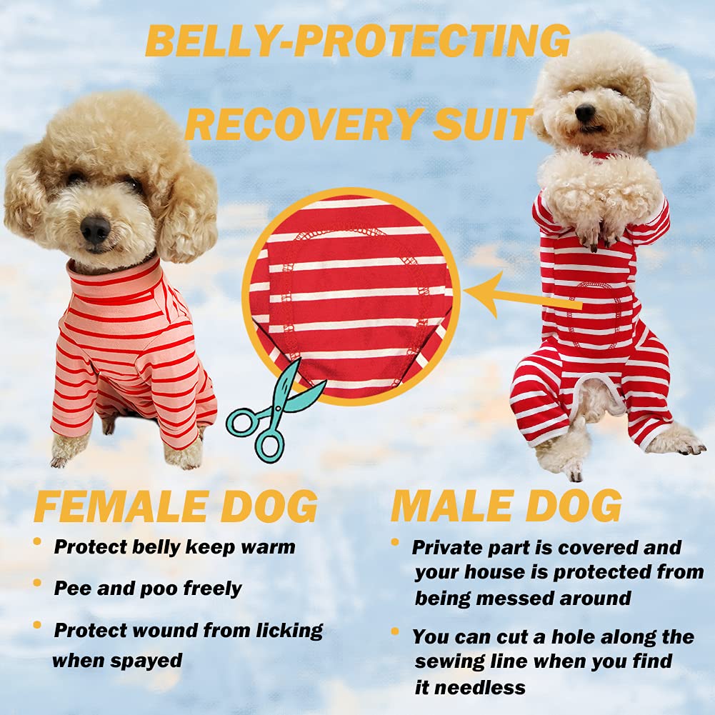 Kukaster Pet recovery suit belly-cuttable seam enables potty breaks without removal.