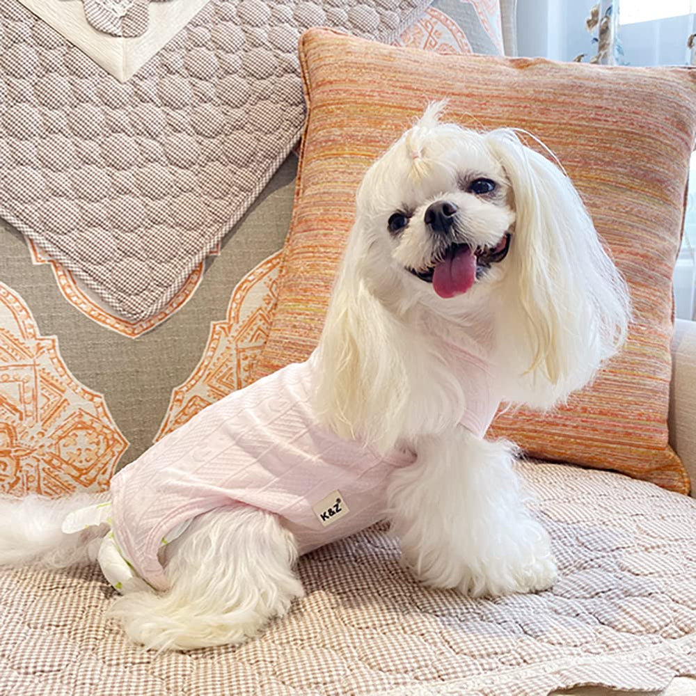Dog wearing Kukaster Pet recovery suit as an E-collar alternative to licking