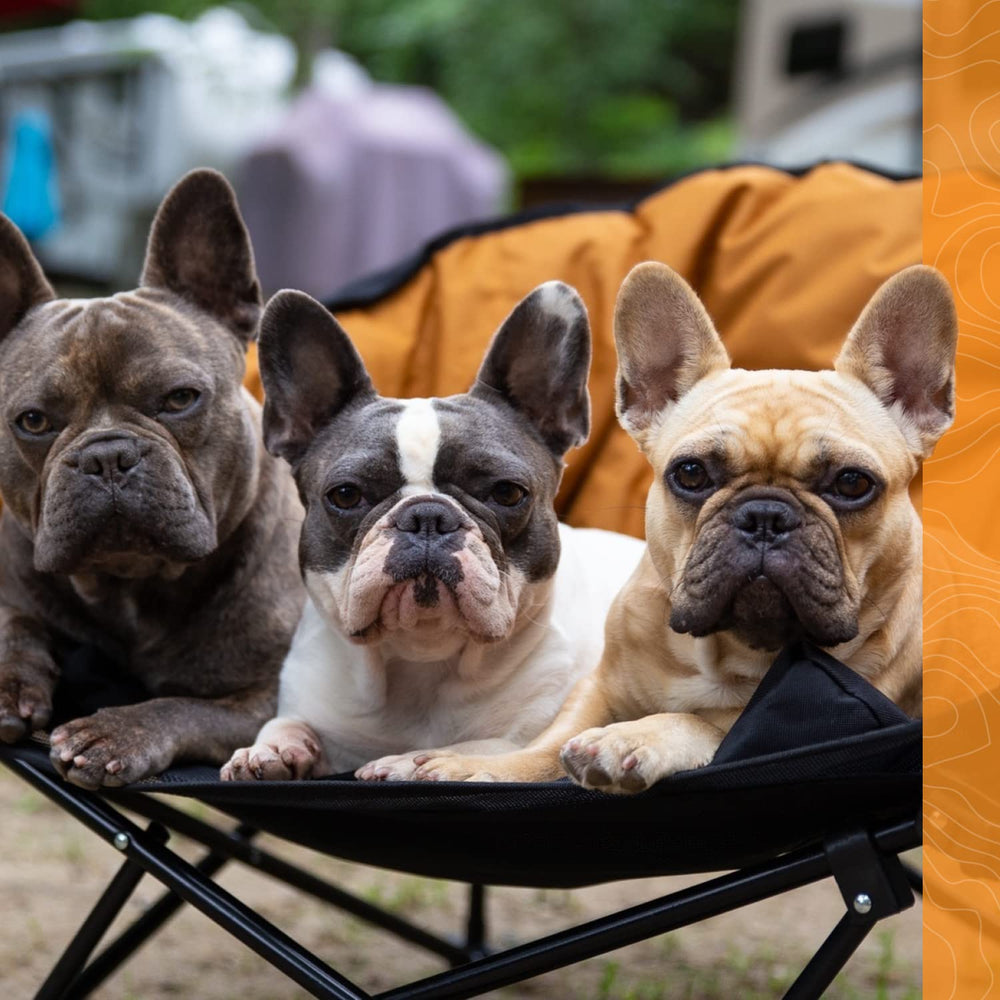 Kuma Lazy Bear Dog Bed durable materials support up to 175 pounds.